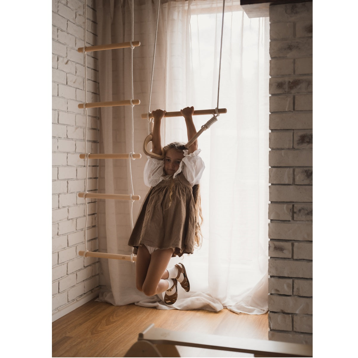 Hanging Gym Trapeze With Rings