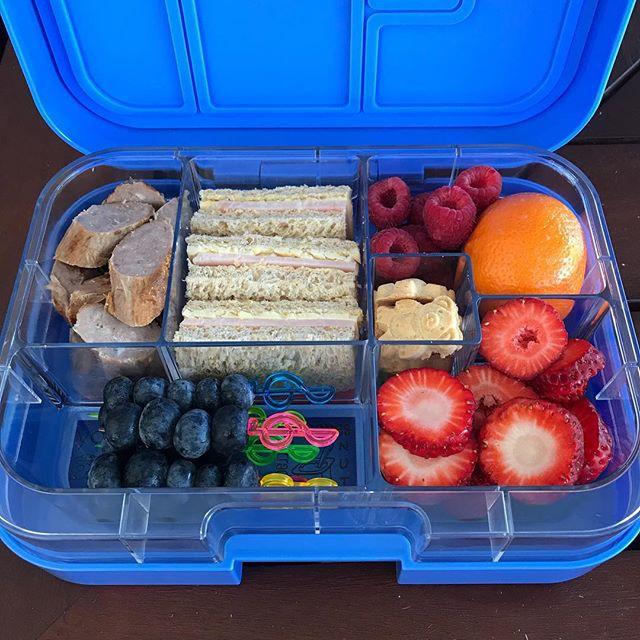 Lunch Container Maxi6 Blue Ocean