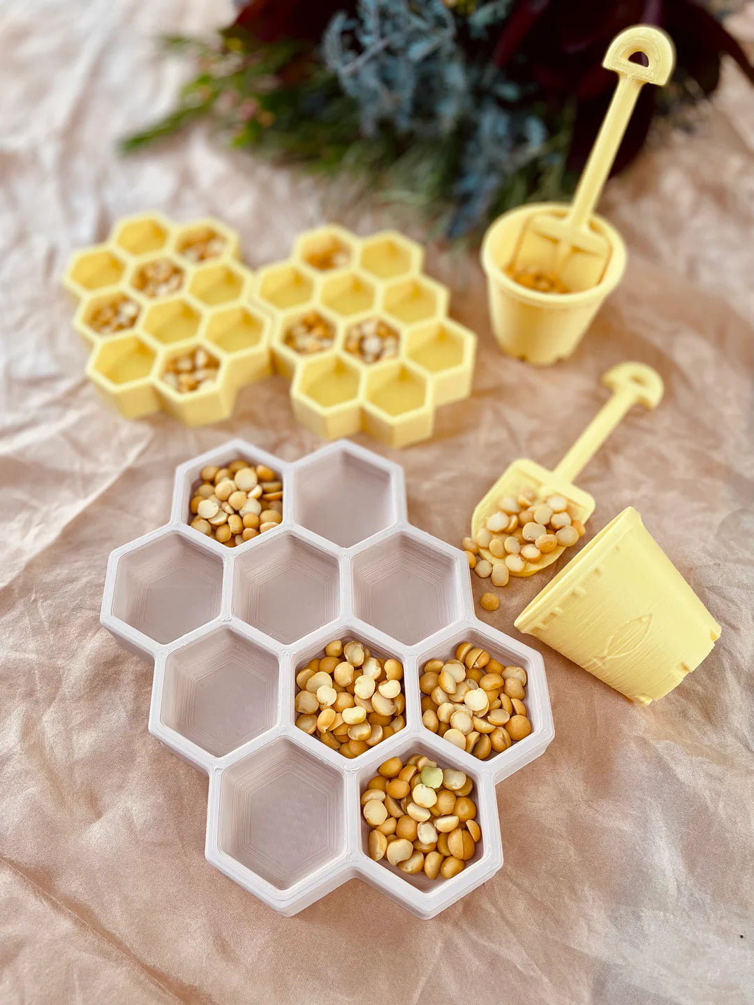 Medium Honeycomb Bio Tray